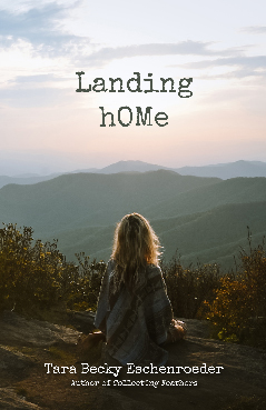Paperback book - Landing Home